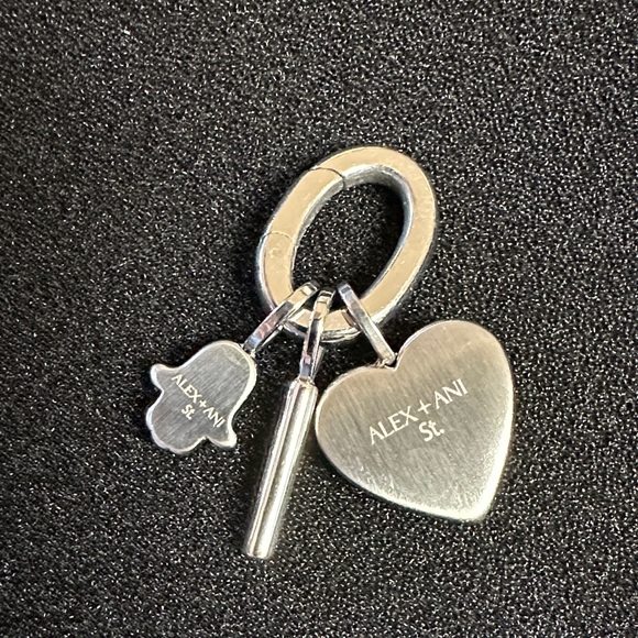Alex and Ani Protection Multicharm Interchangeable Bolo Bracelet 🆕 - Picture 4 of 7